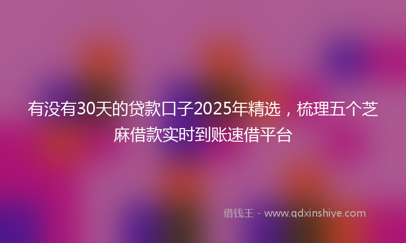 有没有30天的贷款口子2025年精选，梳理五个芝麻借款实时到账速借平台