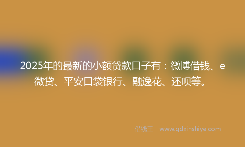 2025年的最新的小额贷款口子有：微博借钱、e微贷、平安口袋银行、融逸花、还呗等。