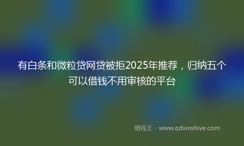 有白条和微粒贷网贷被拒2025年推荐，归纳五个可以借钱不用审核的平台