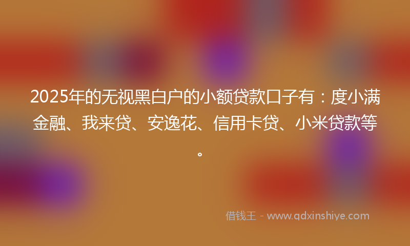 2025年的无视黑白户的小额贷款口子有：度小满金融、我来贷、安逸花、信用卡贷、小米贷款等。