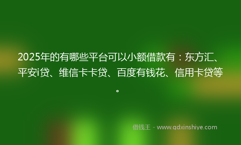 2025年的有哪些平台可以小额借款有：东方汇、平安i贷、维信卡卡贷、百度有钱花、信用卡贷等。