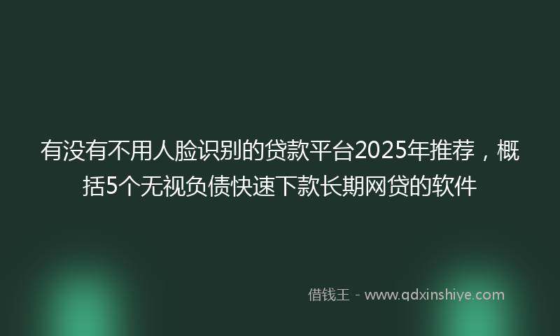 有没有不用人脸识别的贷款平台2025年推荐，概括5个无视负债快速下款长期网贷的软件