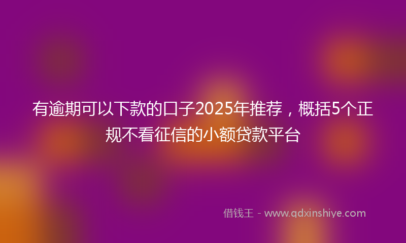 有逾期可以下款的口子2025年推荐，概括5个正规不看征信的小额贷款平台