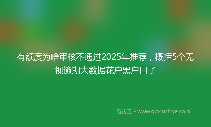 有额度为啥审核不通过2025年推荐，概括5个无视逾期大数据花户黑户口子