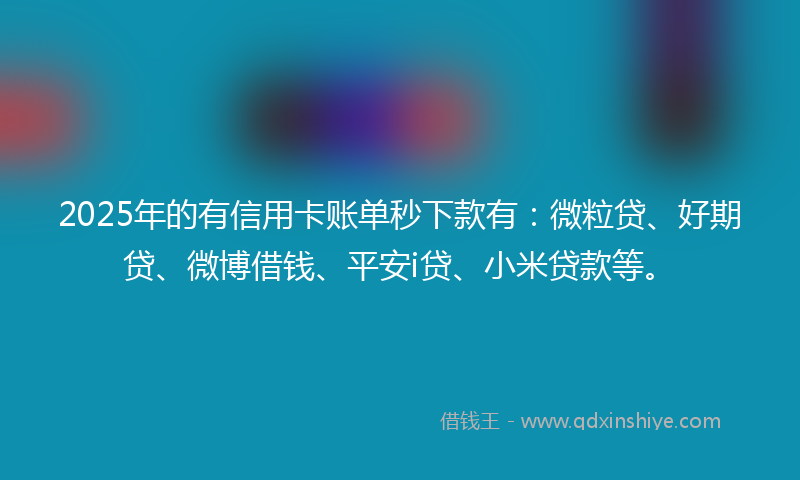 2025年的有信用卡账单秒下款有：微粒贷、好期贷、微博借钱、平安i贷、小米贷款等。