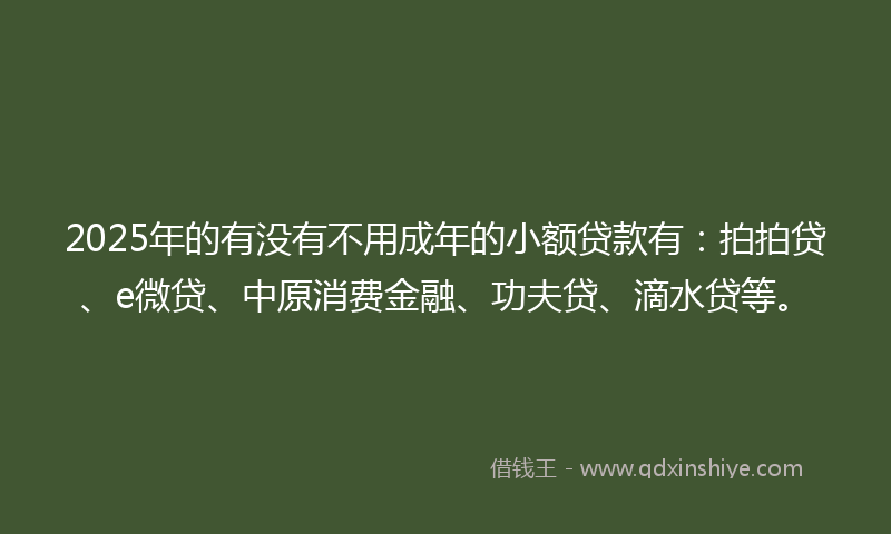 2025年的有没有不用成年的小额贷款有：拍拍贷、e微贷、中原消费金融、功夫贷、滴水贷等。