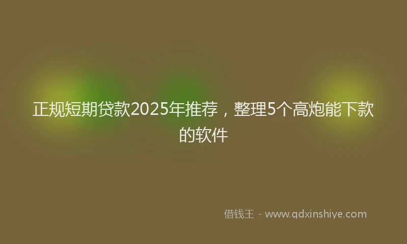 正规短期贷款2025年推荐，整理5个高炮能下款的软件