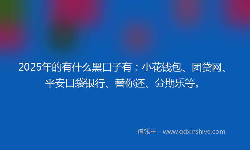 2025年的有什么黑口子有：小花钱包、团贷网、平安口袋银行、替你还、分期乐等。
