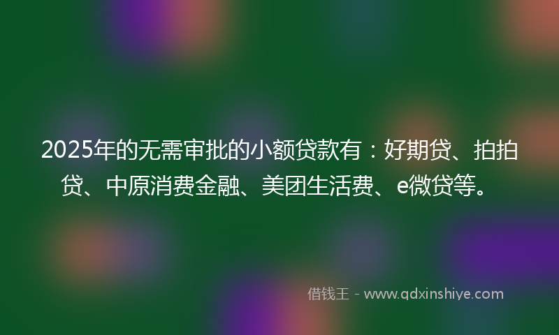 2025年的无需审批的小额贷款有：好期贷、拍拍贷、中原消费金融、美团生活费、e微贷等。