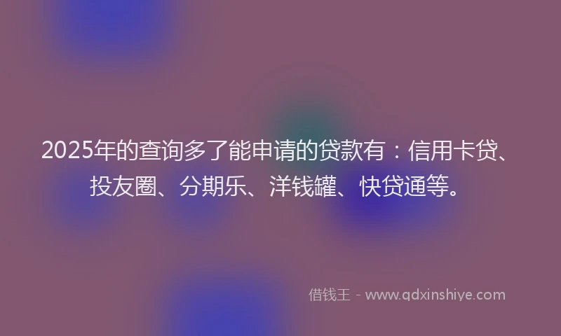 2025年的查询多了能申请的贷款有：信用卡贷、投友圈、分期乐、洋钱罐、快贷通等。
