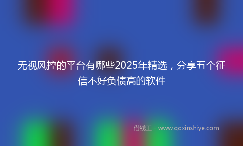 无视风控的平台有哪些2025年精选，分享五个征信不好负债高的软件