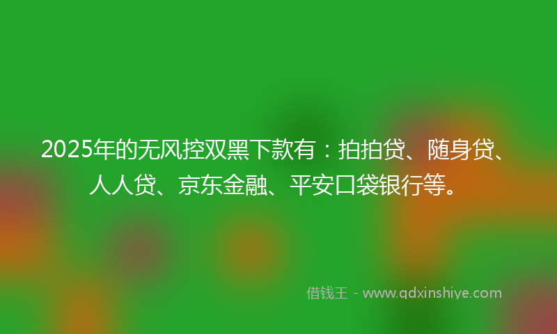 2025年的无风控双黑下款有：拍拍贷、随身贷、人人贷、京东金融、平安口袋银行等。