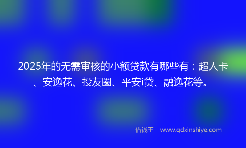 2025年的无需审核的小额贷款有哪些有：超人卡、安逸花、投友圈、平安i贷、融逸花等。