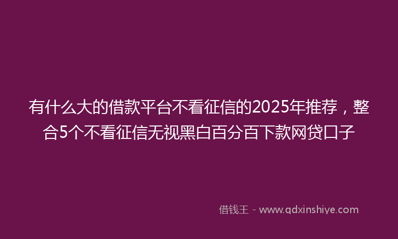 有什么大的借款平台不看征信的2025年推荐，整合5个不看征信无视黑白百分百下款网贷口子