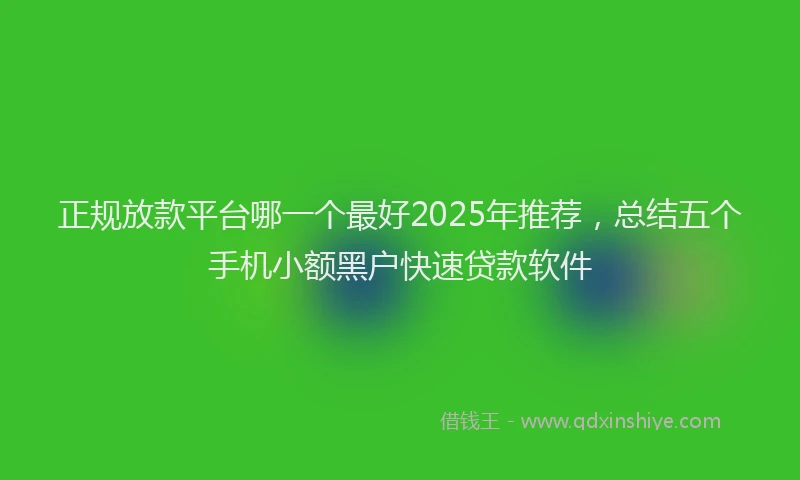 正规放款平台哪一个最好2025年推荐，总结五个手机小额黑户快速贷款软件
