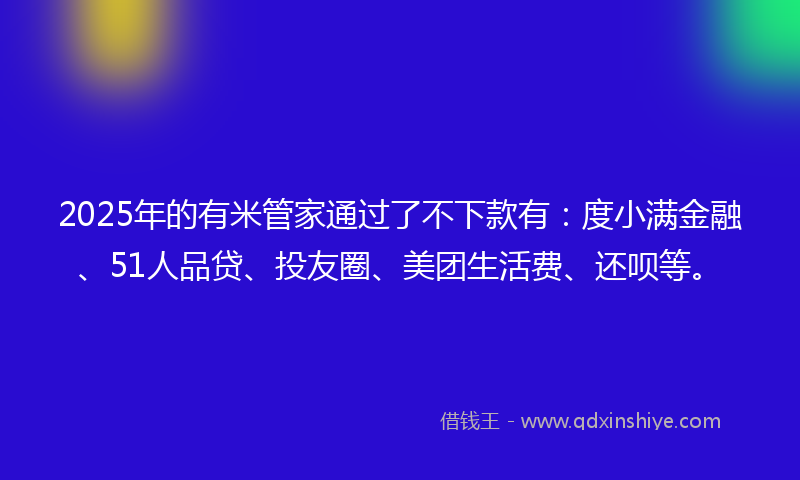 2025年的有米管家通过了不下款有：度小满金融、51人品贷、投友圈、美团生活费、还呗等。