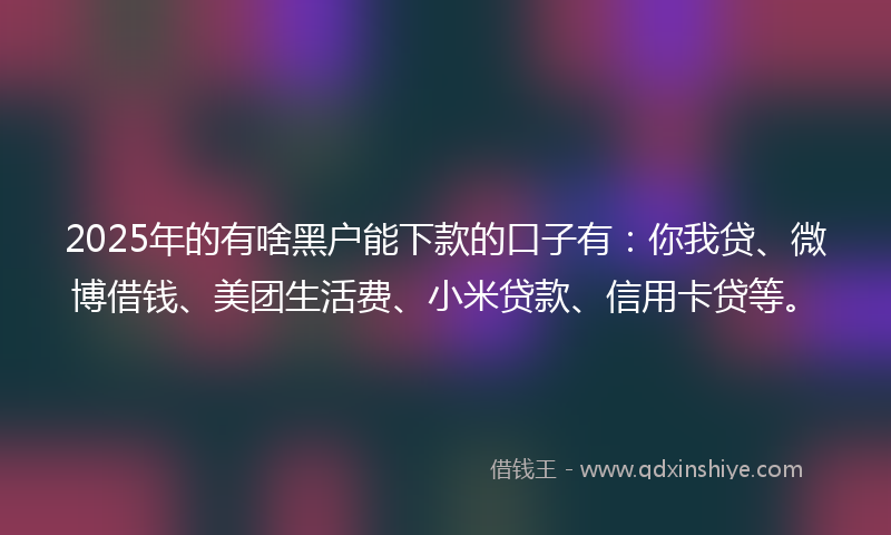 2025年的有啥黑户能下款的口子有：你我贷、微博借钱、美团生活费、小米贷款、信用卡贷等。