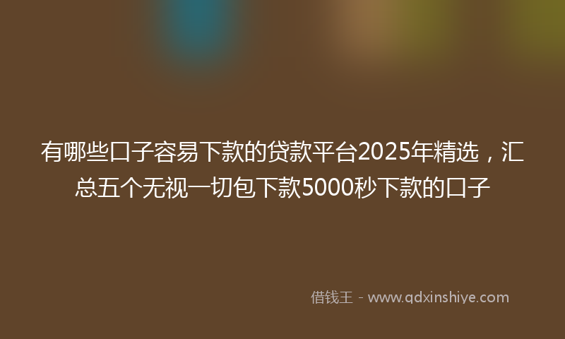 有哪些口子容易下款的贷款平台2025年精选，汇总五个无视一切包下款5000秒下款的口子