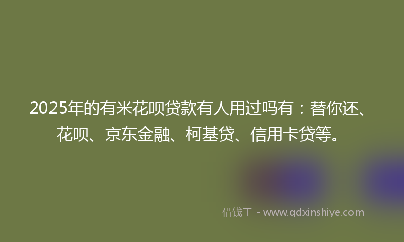 2025年的有米花呗贷款有人用过吗有：替你还、花呗、京东金融、柯基贷、信用卡贷等。