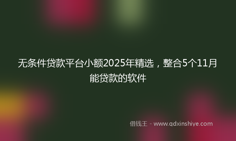 无条件贷款平台小额2025年精选，整合5个11月能贷款的软件