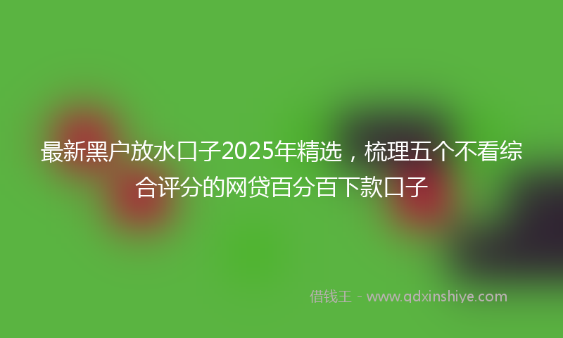 最新黑户放水口子2025年精选，梳理五个不看综合评分的网贷百分百下款口子