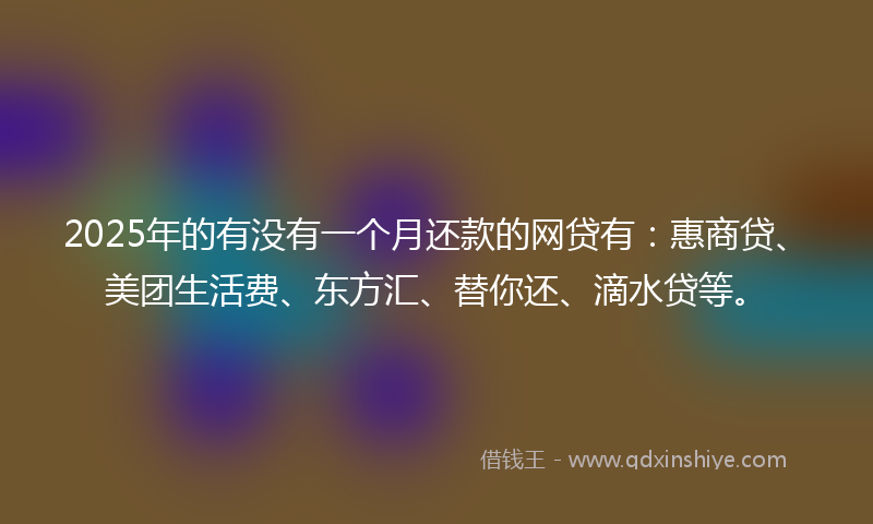 2025年的有没有一个月还款的网贷有：惠商贷、美团生活费、东方汇、替你还、滴水贷等。