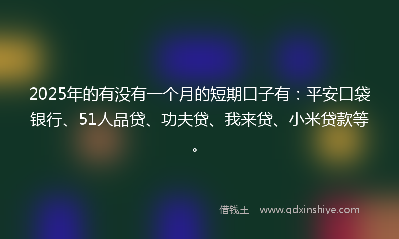 2025年的有没有一个月的短期口子有：平安口袋银行、51人品贷、功夫贷、我来贷、小米贷款等。