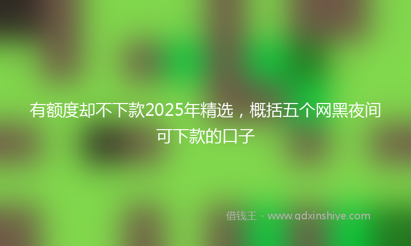 有额度却不下款2025年精选，概括五个网黑夜间可下款的口子