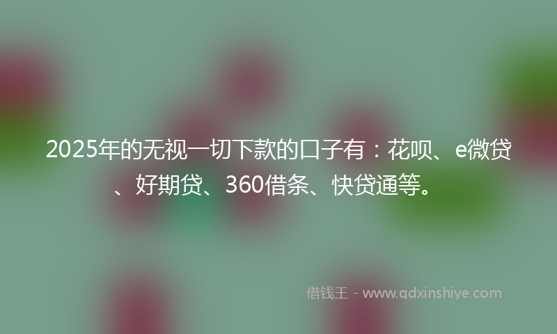 2025年的无视一切下款的口子有：花呗、e微贷、好期贷、360借条、快贷通等。