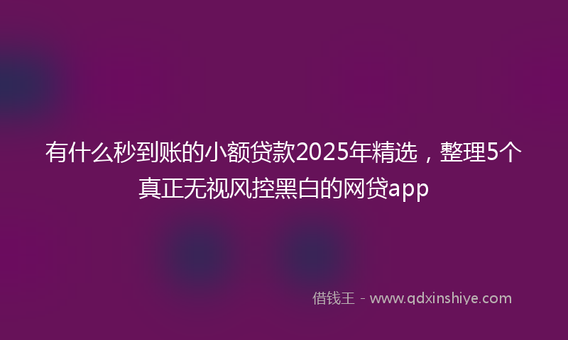 有什么秒到账的小额贷款2025年精选，整理5个真正无视风控黑白的网贷app