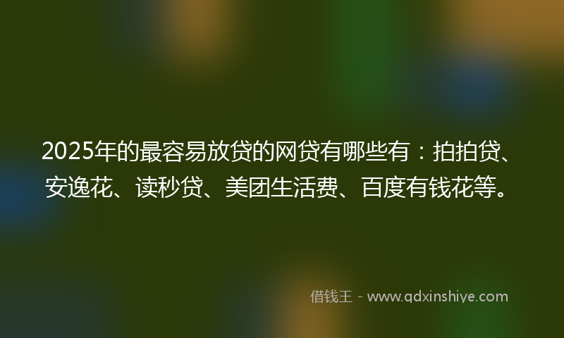 2025年的最容易放贷的网贷有哪些有：拍拍贷、安逸花、读秒贷、美团生活费、百度有钱花等。