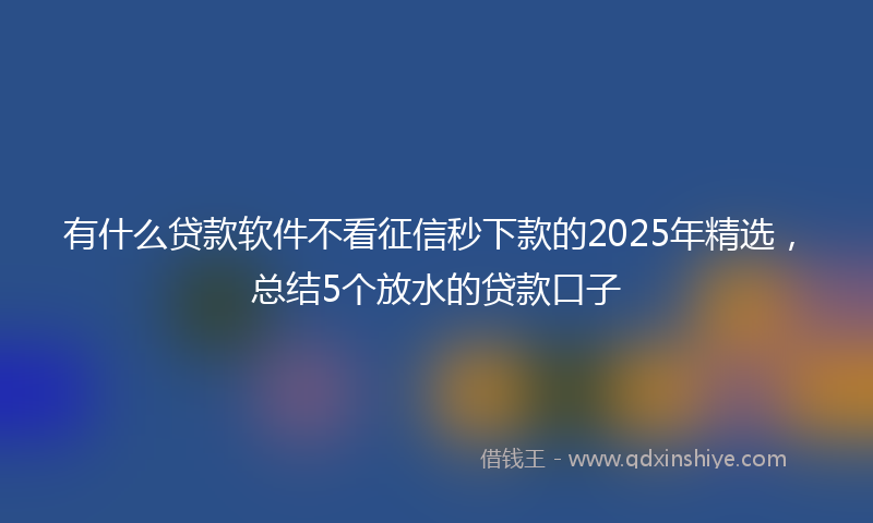有什么贷款软件不看征信秒下款的2025年精选，总结5个放水的贷款口子