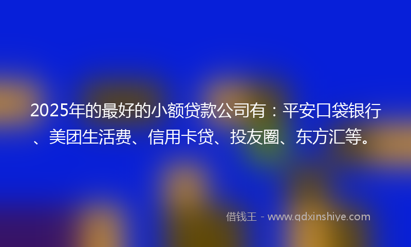 2025年的最好的小额贷款公司有：平安口袋银行、美团生活费、信用卡贷、投友圈、东方汇等。