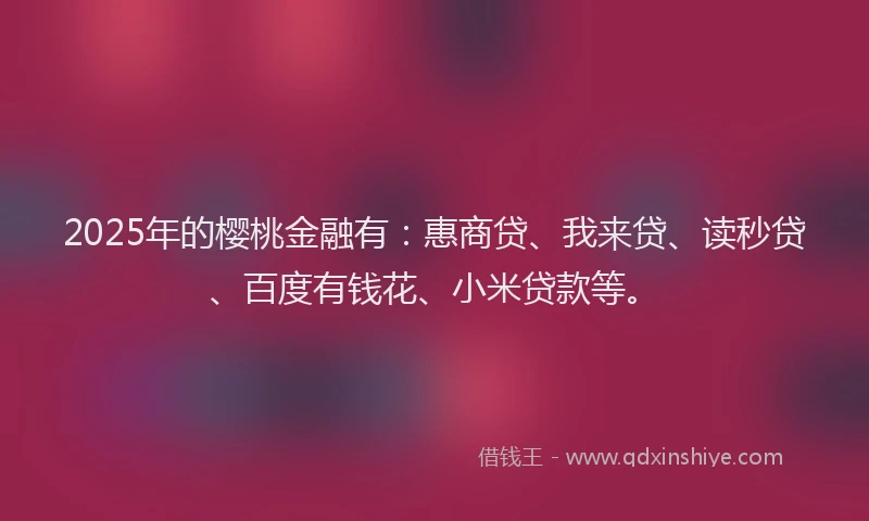 2025年的樱桃金融有：惠商贷、我来贷、读秒贷、百度有钱花、小米贷款等。