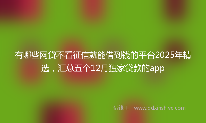 有哪些网贷不看征信就能借到钱的平台2025年精选，汇总五个12月独家贷款的app