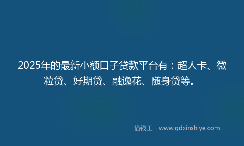 2025年的最新小额口子贷款平台有：超人卡、微粒贷、好期贷、融逸花、随身贷等。