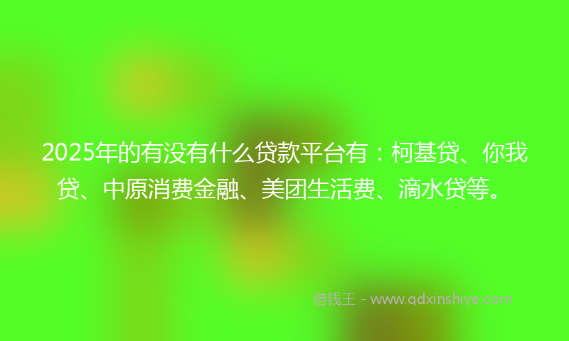 2025年的有没有什么贷款平台有：柯基贷、你我贷、中原消费金融、美团生活费、滴水贷等。