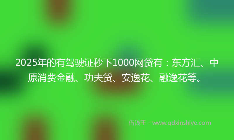 2025年的有驾驶证秒下1000网贷有：东方汇、中原消费金融、功夫贷、安逸花、融逸花等。