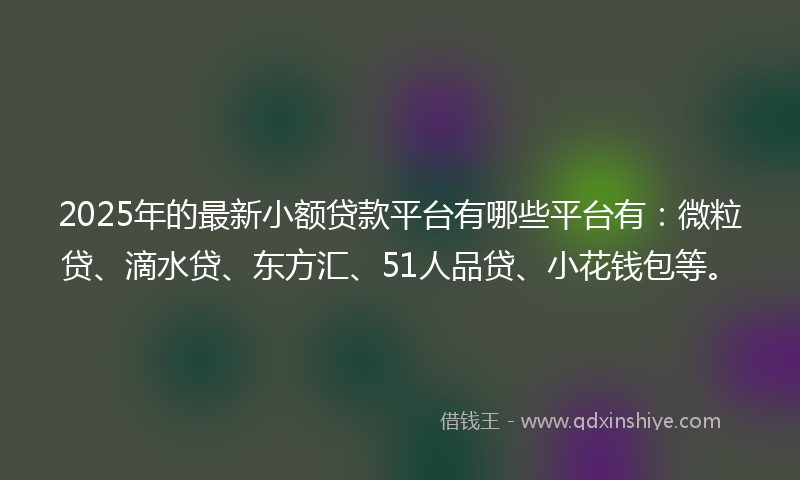 2025年的最新小额贷款平台有哪些平台有：微粒贷、滴水贷、东方汇、51人品贷、小花钱包等。