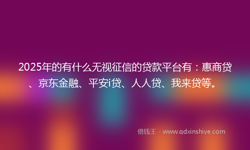 2025年的有什么无视征信的贷款平台有：惠商贷、京东金融、平安i贷、人人贷、我来贷等。