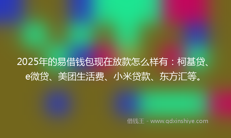 2025年的易借钱包现在放款怎么样有：柯基贷、e微贷、美团生活费、小米贷款、东方汇等。