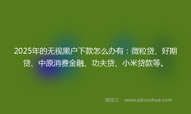 2025年的无视黑户下款怎么办有：微粒贷、好期贷、中原消费金融、功夫贷、小米贷款等。