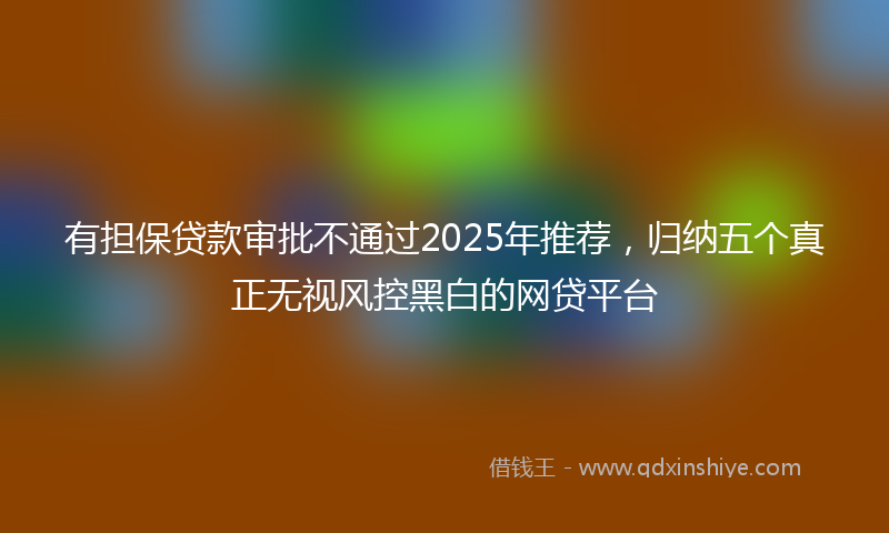 有担保贷款审批不通过2025年推荐，归纳五个真正无视风控黑白的网贷平台
