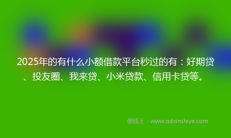 2025年的有什么小额借款平台秒过的有：好期贷、投友圈、我来贷、小米贷款、信用卡贷等。