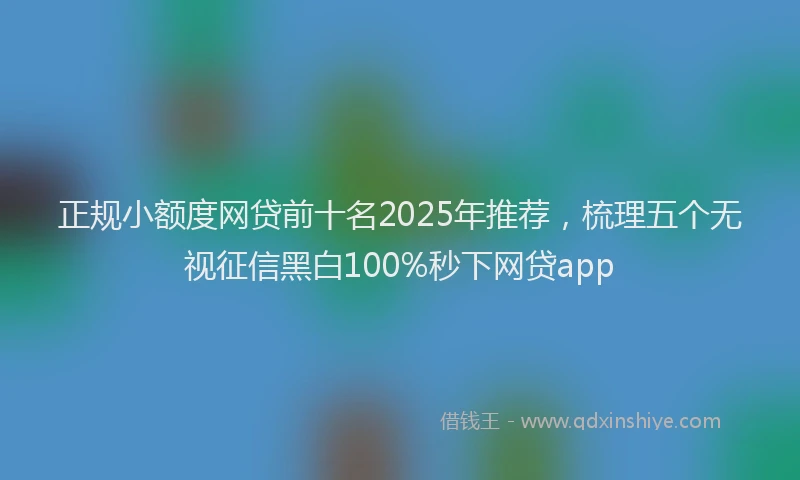 正规小额度网贷前十名2025年推荐，梳理五个无视征信黑白100%秒下网贷app
