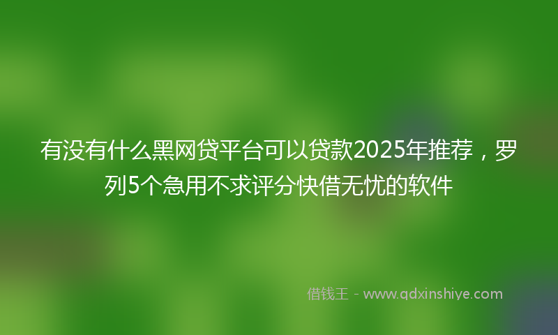 有没有什么黑网贷平台可以贷款2025年推荐，罗列5个急用不求评分快借无忧的软件