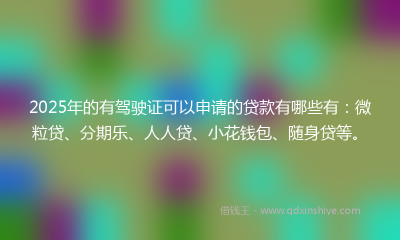 2025年的有驾驶证可以申请的贷款有哪些有：微粒贷、分期乐、人人贷、小花钱包、随身贷等。
