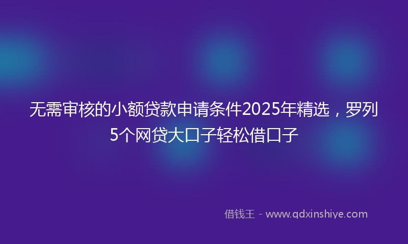 无需审核的小额贷款申请条件2025年精选，罗列5个网贷大口子轻松借口子