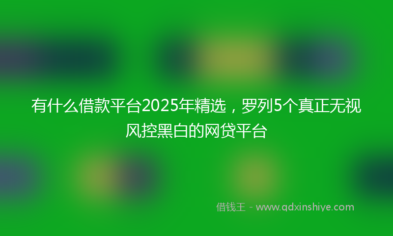 有什么借款平台2025年精选，罗列5个真正无视风控黑白的网贷平台