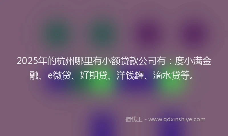 2025年的杭州哪里有小额贷款公司有：度小满金融、e微贷、好期贷、洋钱罐、滴水贷等。